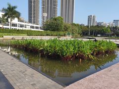 -厦门海湾公园游乐场