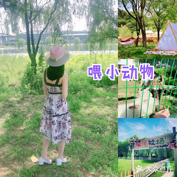 沈阳游玩｜花溪牧场