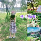 沈阳游玩｜花溪牧场