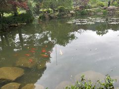 -中国茶叶博物馆(双峰馆区)