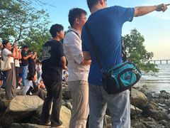 -宝安西湾红树林湿地公园