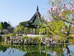 -无锡蠡湖国家湿地公园-蠡园
