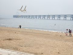 -黑石礁公园