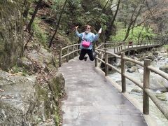 -牛背梁国家森林公园