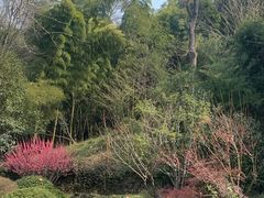 -菊花台公园