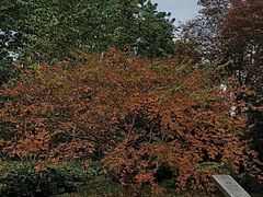 -苏州河梦清园环保主题公园