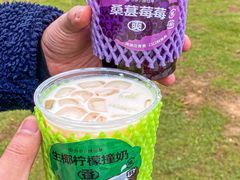 -书亦烧仙草(万家丽一店)