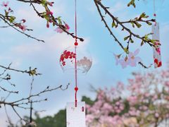 -宝墨园景区