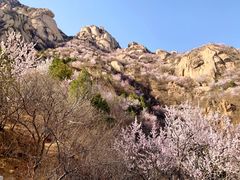 -北京凤凰岭