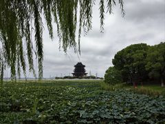 -阳澄湖半岛旅游度假区