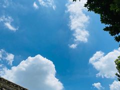 -长春观斋补堂素菜馆