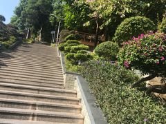 -仙岳公园