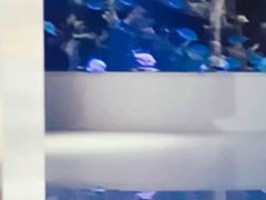 -沙沙哗啦海洋馆(华宇百花谷店)