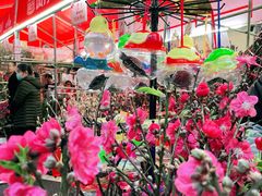 -越秀西湖花市(广州城市广场花卉店)