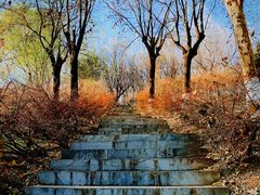 -河北省园博园