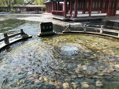 -百脉泉景区