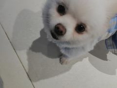 -怪兽屋·羊驼·猫咖·狗咖(俊华广场店)