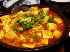 -Mountain House Flushing 川山甲