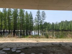 -白鹭湾湿地公园