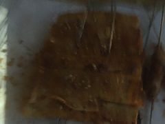 -提老炮儿烧烤(南山店)