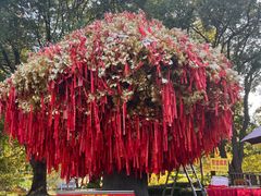 -狼山风景名胜区