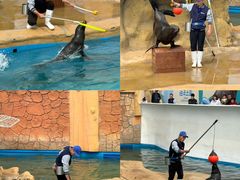 -秦皇岛乐岛海洋王国