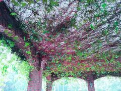 -南国桃园旅游度假区