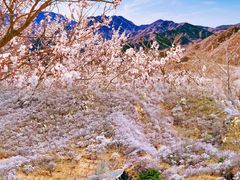 -沉浸北京·团建旅行·密室剧本杀·年会会议轰趴拓展