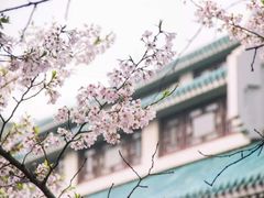 -武汉大学-樱园