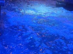 -九号温泉生活馆