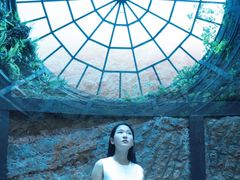 -中国西峡恐龙遗迹园