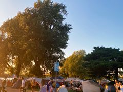 -长春市南湖公园