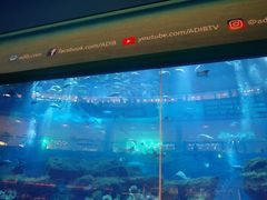 -迪拜水族馆及水下动物园
