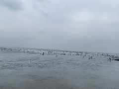 -碧海金沙