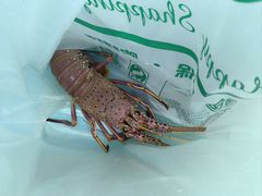 -景好海鲜餐厅(大鹏必选旅游店)