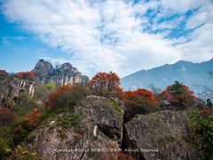 -秦岭终南山世界地质公园翠华山景区