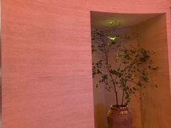 -舒小悦·舒养SPA·古法推拿(光环中心店)