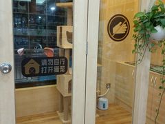 -千城康桥宠物医院·猫科·骨科·心脏