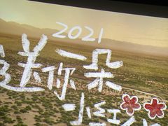 -山文星辉影城(济南和谐广场店)