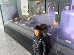 -北京周口店北京人遗址博物馆