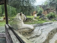 -杭州野生动物世界