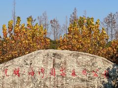 -上海海湾国家森林公园