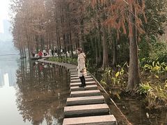 -重庆彩云湖湿地公园