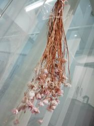 -OM瑜伽教练培训学院