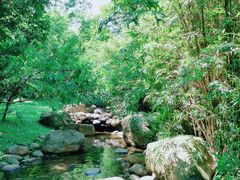 -火炉山森林公园