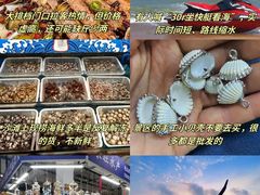 -日照海滨国家森林公园