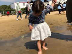 -碧海金沙