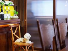 -沏点Trattoria意大利餐厅(新街口店)