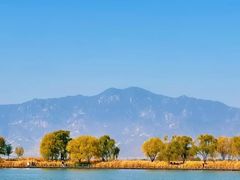 -野鸭湖国家湿地公园