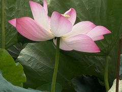 -海底捞火锅(关山保利店)